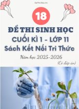 Tuyển tập 22 Đề thi cuối kì 1 năm học 2025-2026 môn Sinh học 11 KNTT (Kèm đáp án)